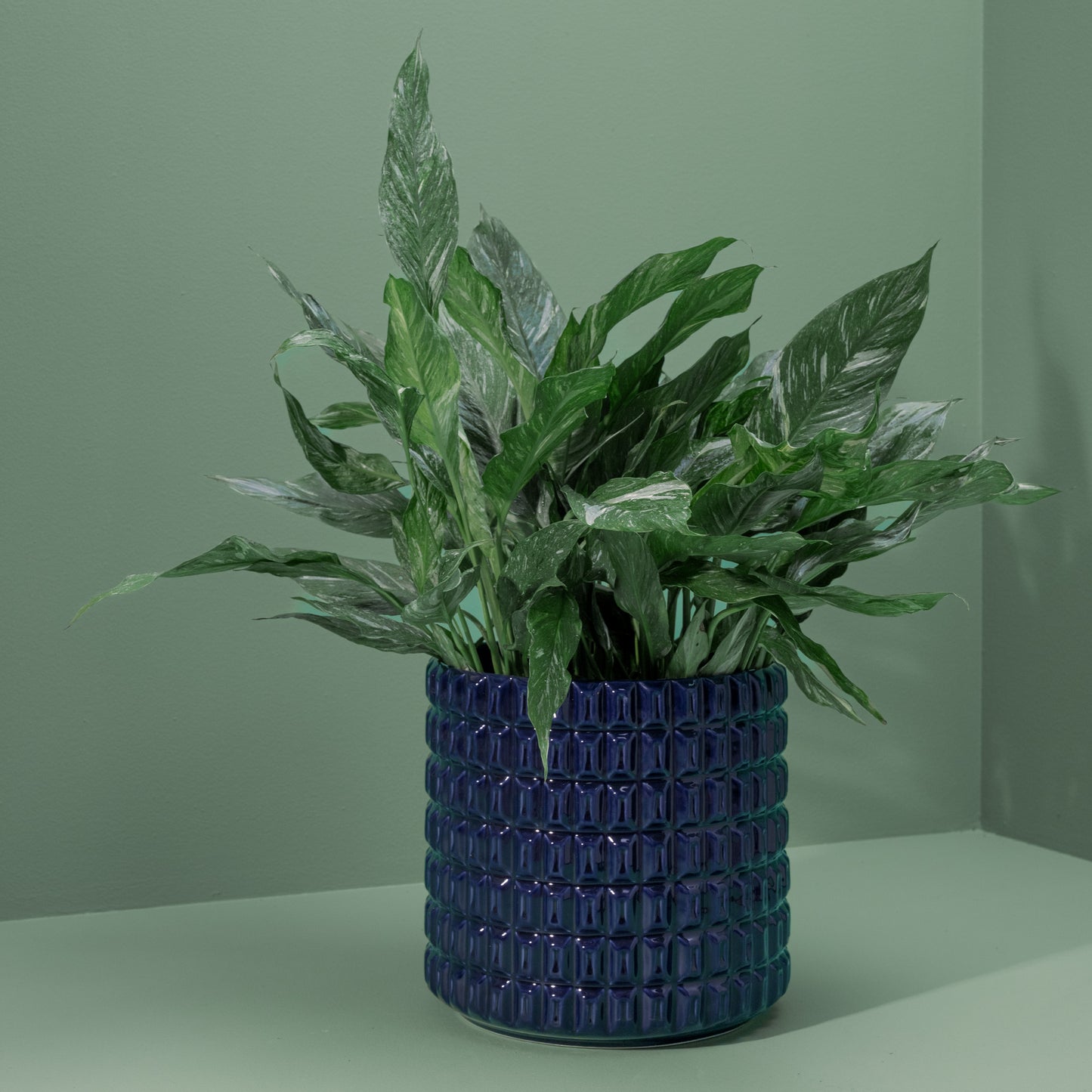 Fashion Sunset Tower Pot Deep Blue Large