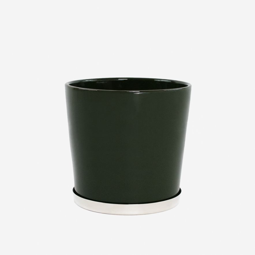 Base Pot Palm Green Medium