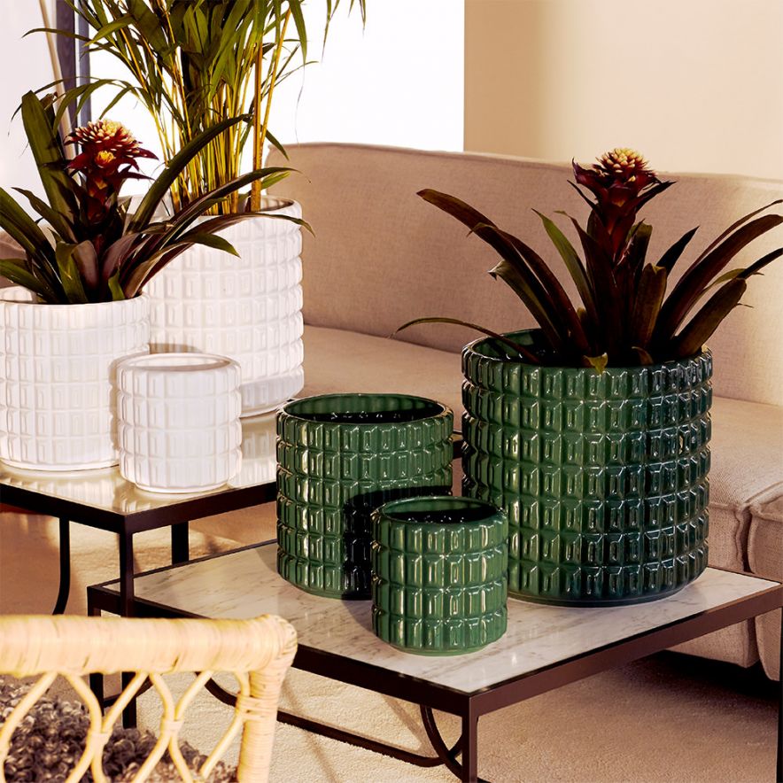 Fashion Sunset Tower Pot Palm Green Medium